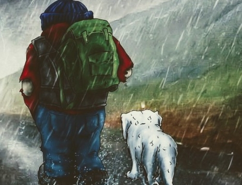 The Unconditional Friend
